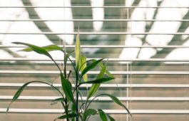 Ultrasonic Blinds Cleaning Services